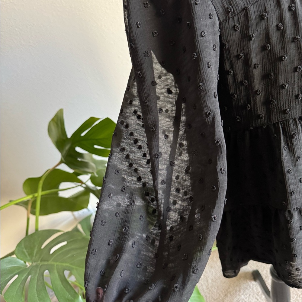 Black Women's Ruffled Collared Blouse - Picture 3 of 6